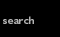 Search