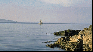 thumbnail of your picture #2