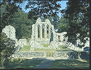 thumbnail of your picture #3
