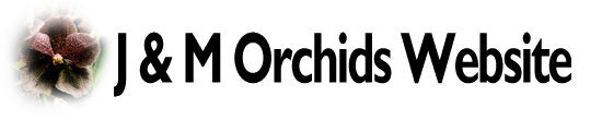 J & M Orchids Website