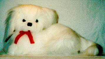 dog.GIF