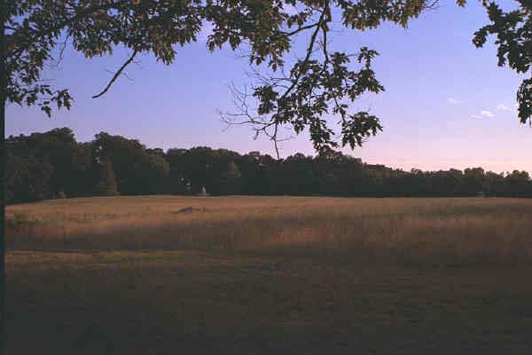 Gettysburg National Park: The Wheatfield today