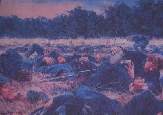 Gettysburg National Park: Irish Brigade, The Wheatfield