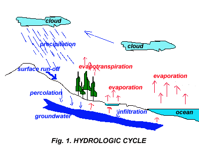 Hydrologic Cycle