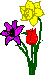Bouquet Of The Month