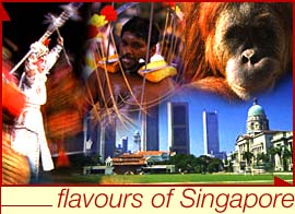 Singapore's Web Site