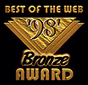 Nielsen's Bronze Award