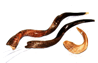 Yemenite Shofar