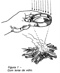 desblupa.gif (17616 bytes)