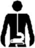 dermtlgy.gif (1303 bytes)