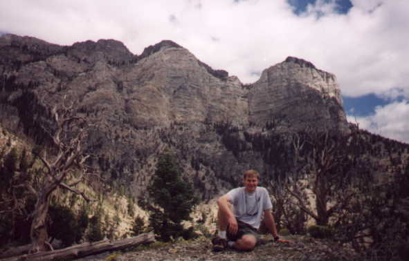 jmcmt.jpg (25740 bytes)