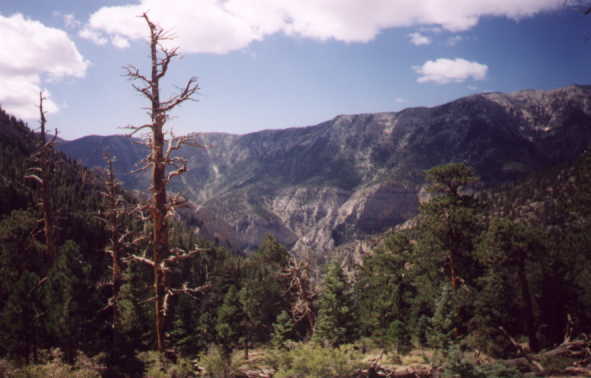 mt2.jpg (25043 bytes)