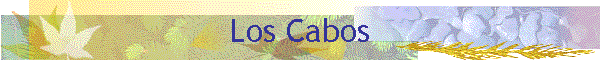 Los Cabos