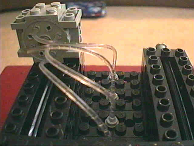 headtop.jpg