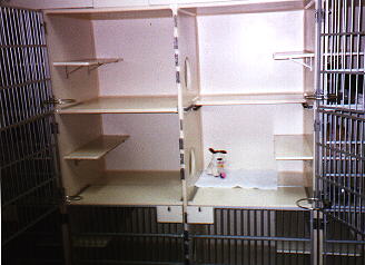 PICTURE OF CAT CONDOS