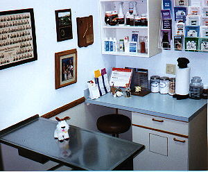 PICTURE OF EXAM ROOM