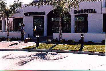 Front of our Hosptial