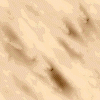 Wood Chips