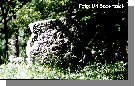 (C) 1997 Ulf S�derback