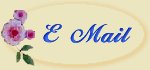 E Mail