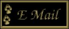 E Mail