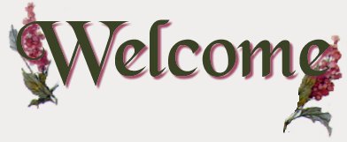Welcome