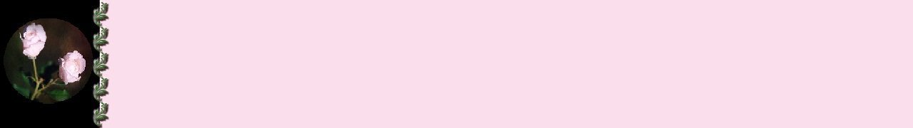Pink Rose Border Set