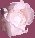 Rose Bud Bullet