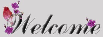 Welcome