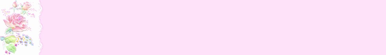 Rose Pink On White Border Set