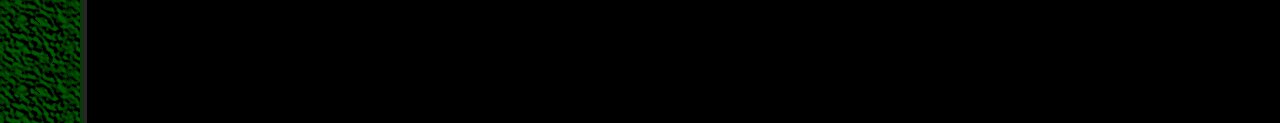Set 8