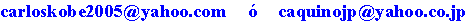 Correo Electr&oacute;nico