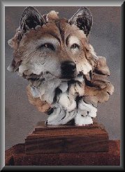 Wolf Collection