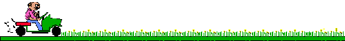 We're Cuttin' Grass!