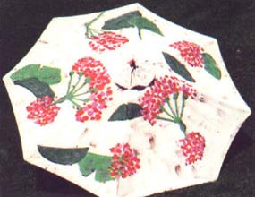 Geranium