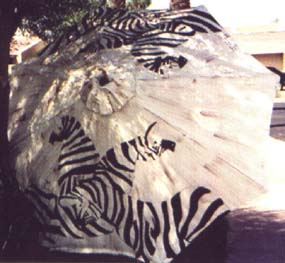 Zebra