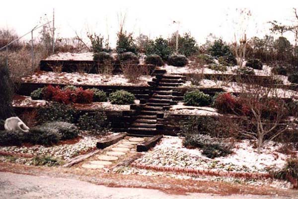 Professional Landscaping