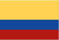 flag.jpg (3136 bytes)