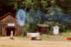 charlton_2001z.JPG (43037 bytes)