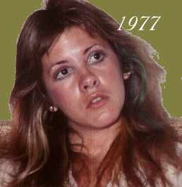 1977 Stevie
