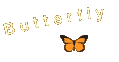 butterfly