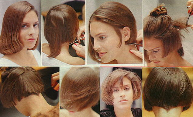 /user/collage3.jpg