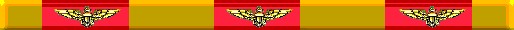 usmcruler2.jpg (7145 bytes)