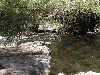 Pemberton, Western Australia