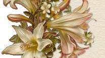 lys