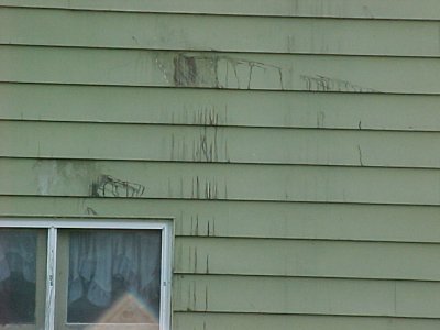 Tims house