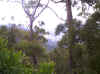 bris220606 013.jpg (287153 bytes)