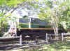 rail070706 001.jpg (428783 bytes)
