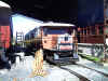 rail070706 007.jpg (304773 bytes)