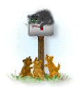 E-mail box